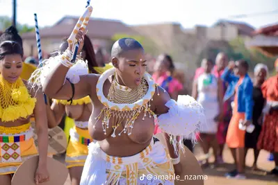 Tribu zulu cover image