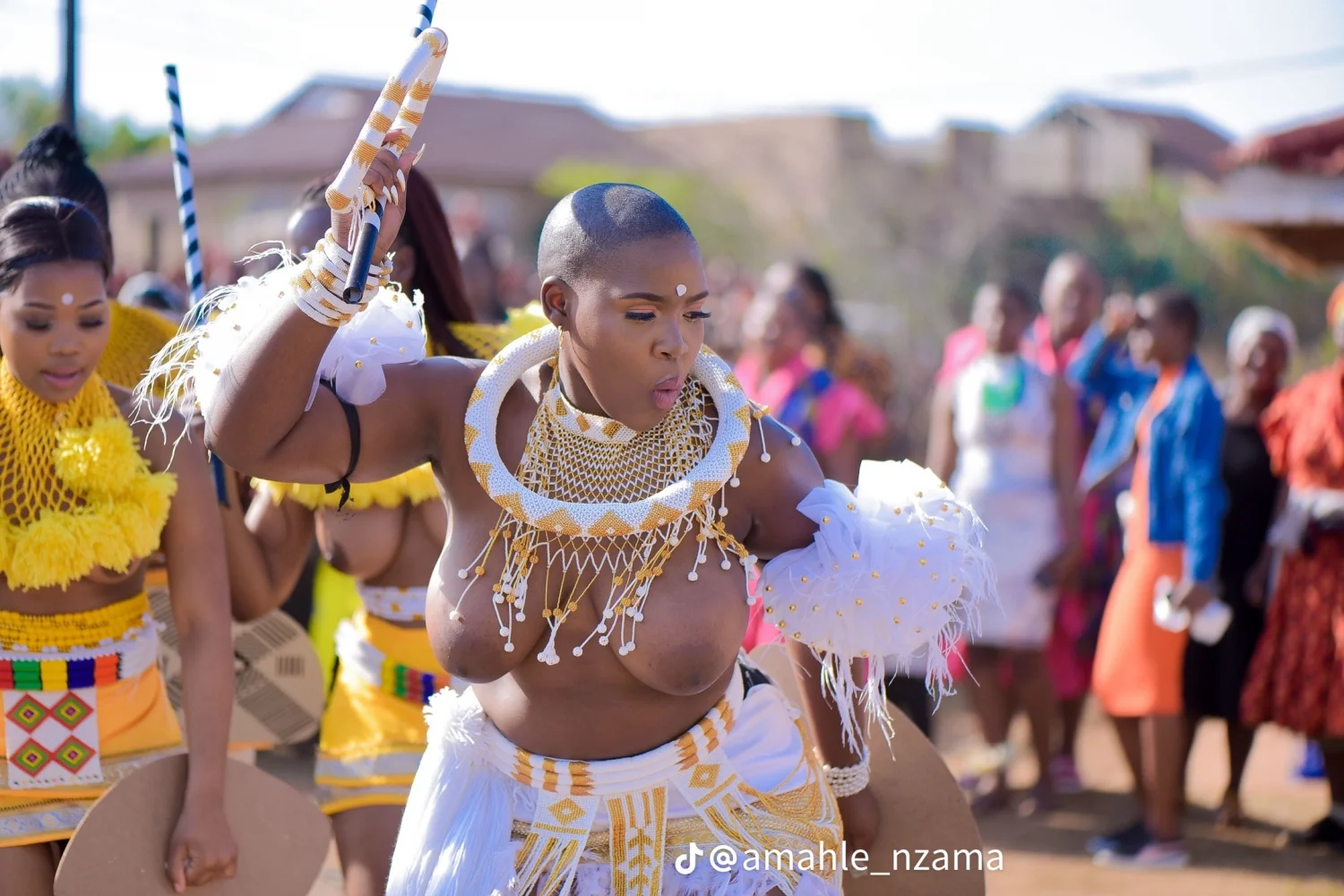 Tribu zulu main image