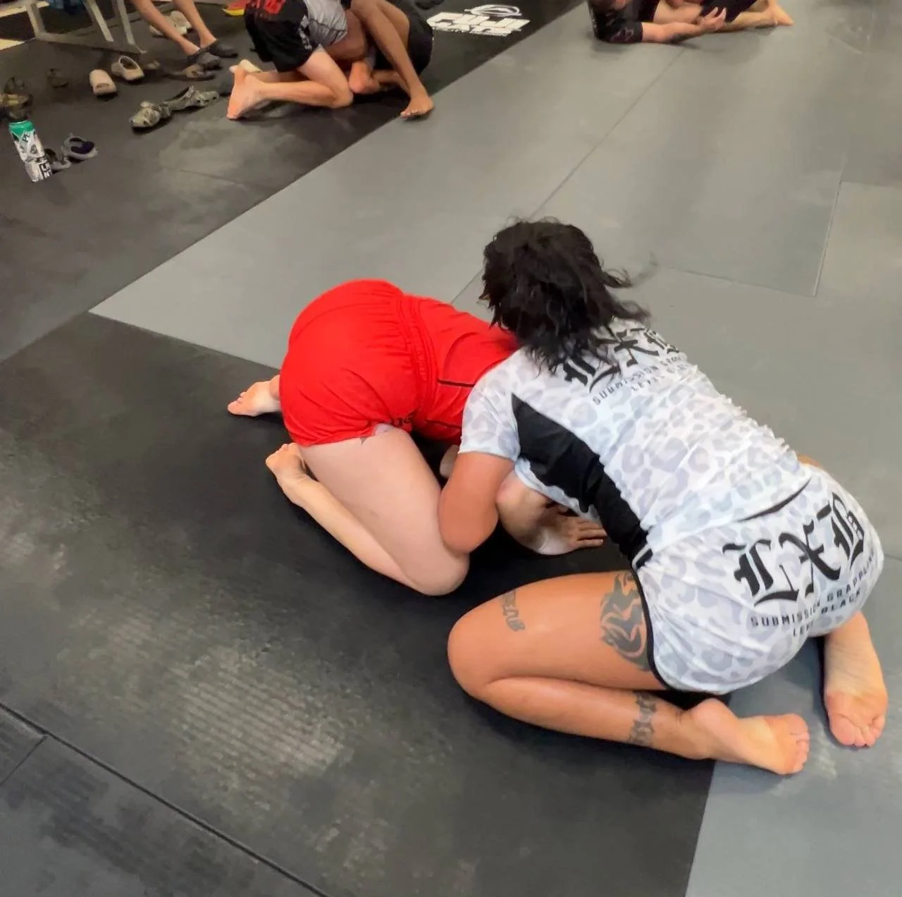 🇺🇸 AMERICAN MMA FIGHTER image 2
