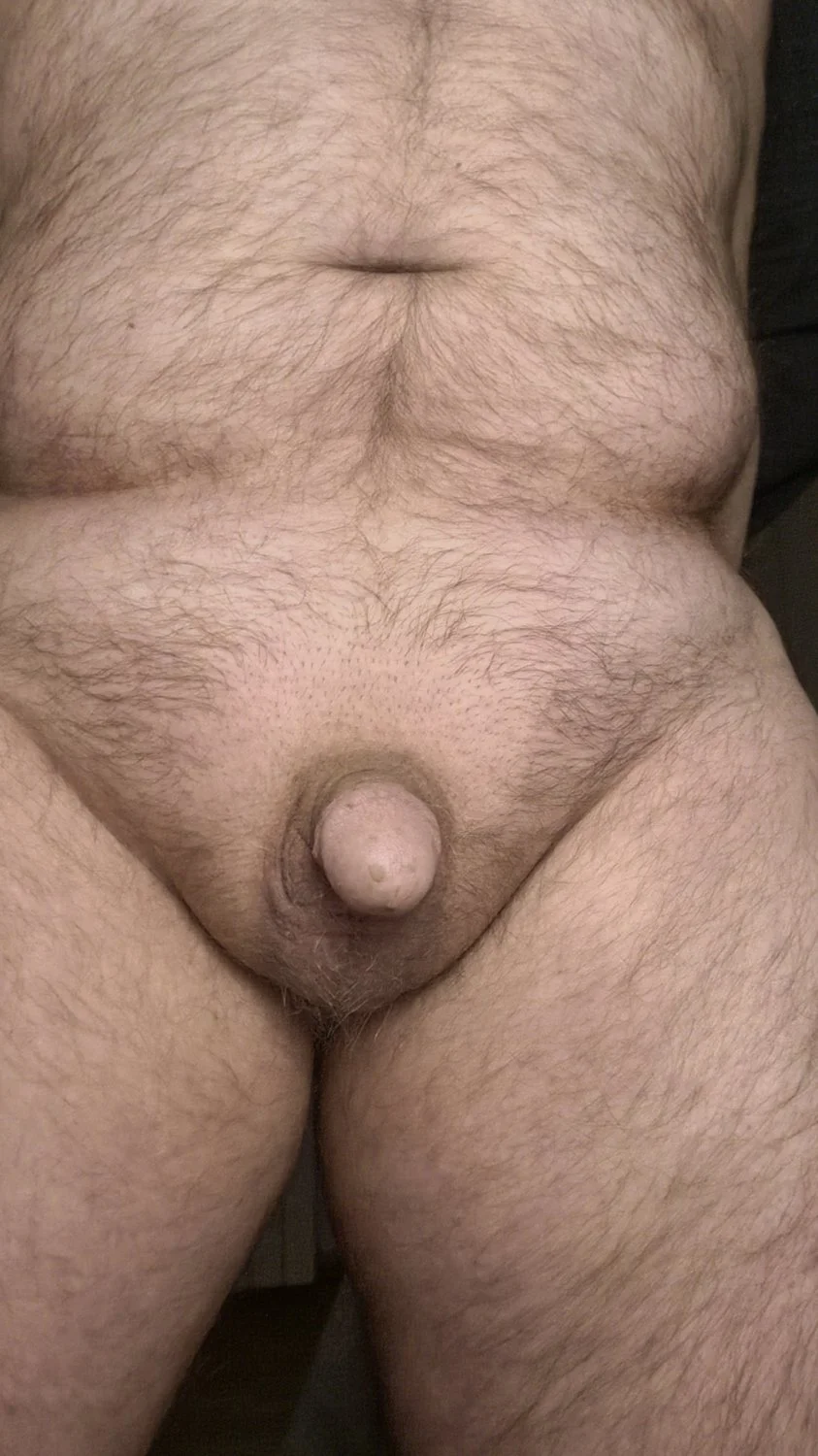 my tlny dick main image