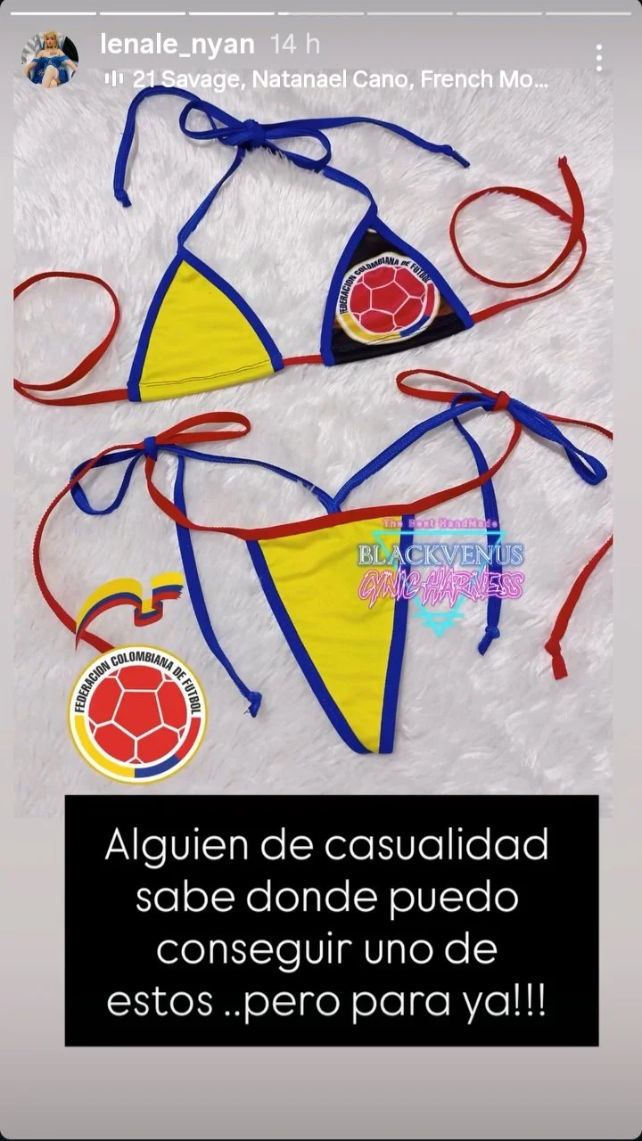 El jefe final :v de silksong image 7