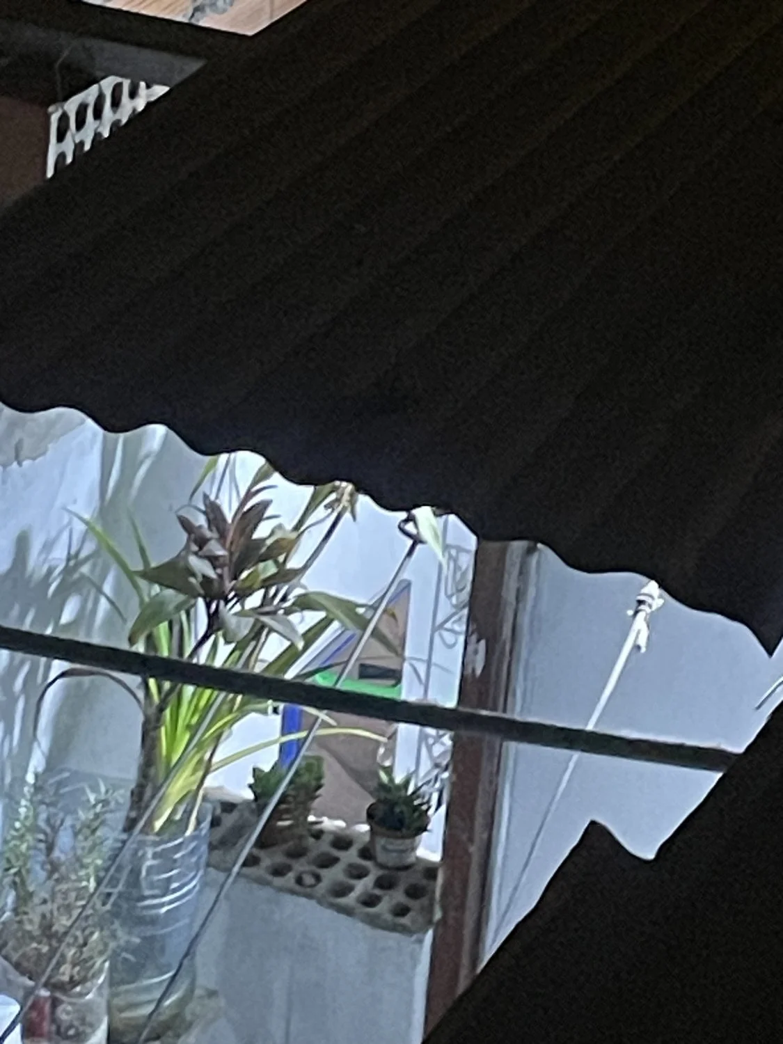 Espío a mi vecina buenota bañándose image 25