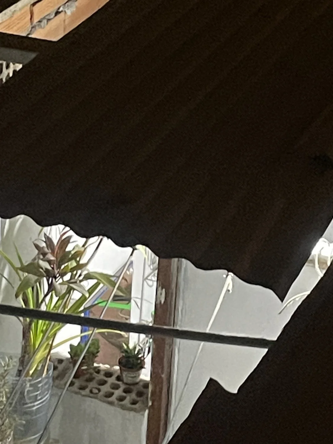Espío a mi vecina buenota bañándose image 26