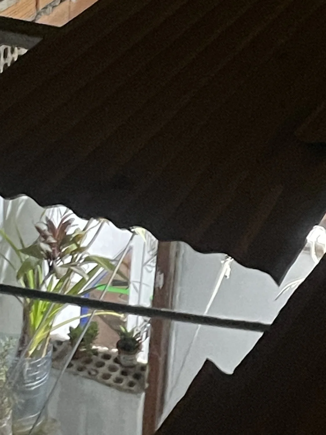 Espío a mi vecina buenota bañándose image 27