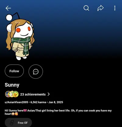 Pretty cover image