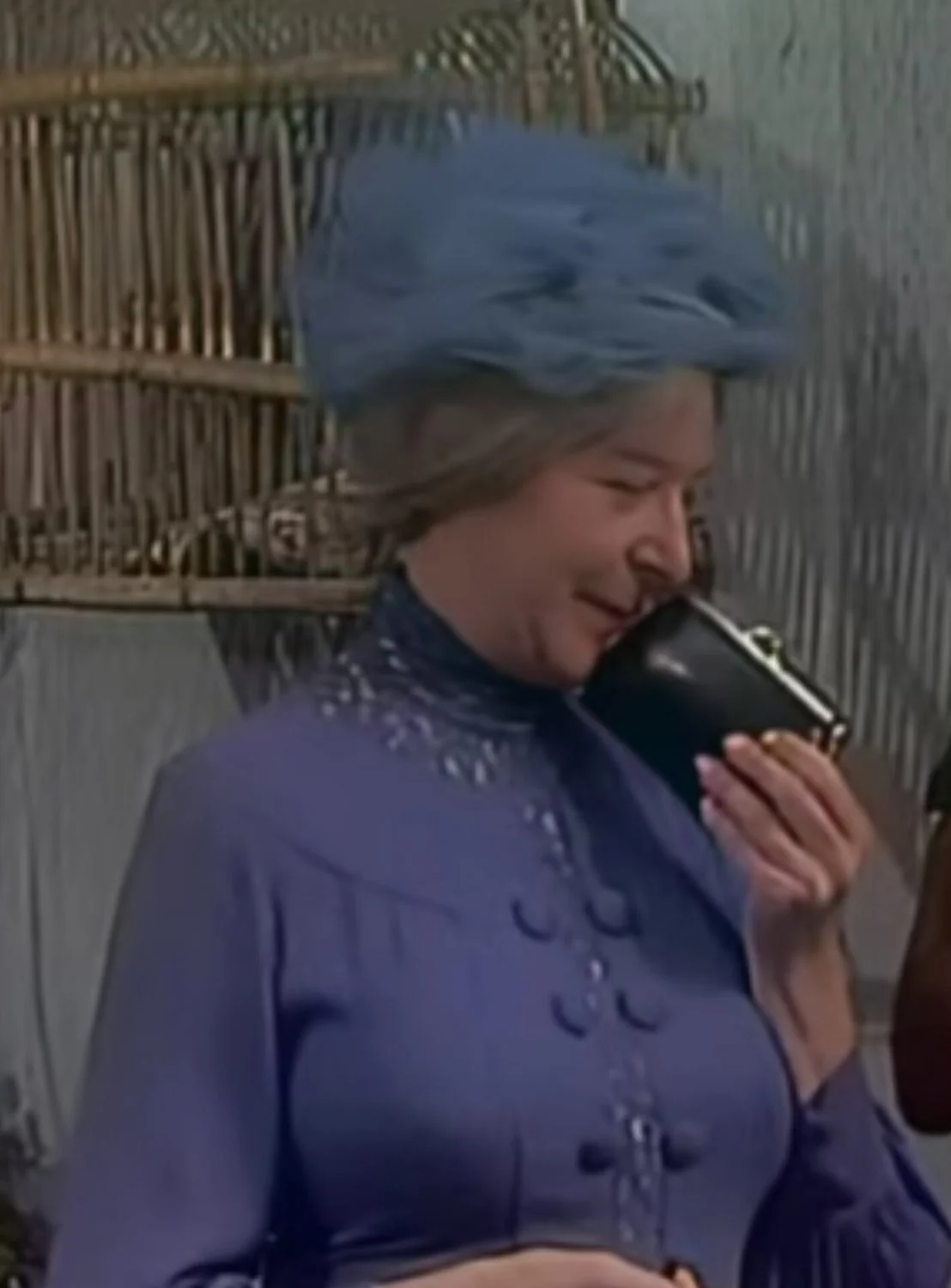 Dona Clotilde do chaves main image