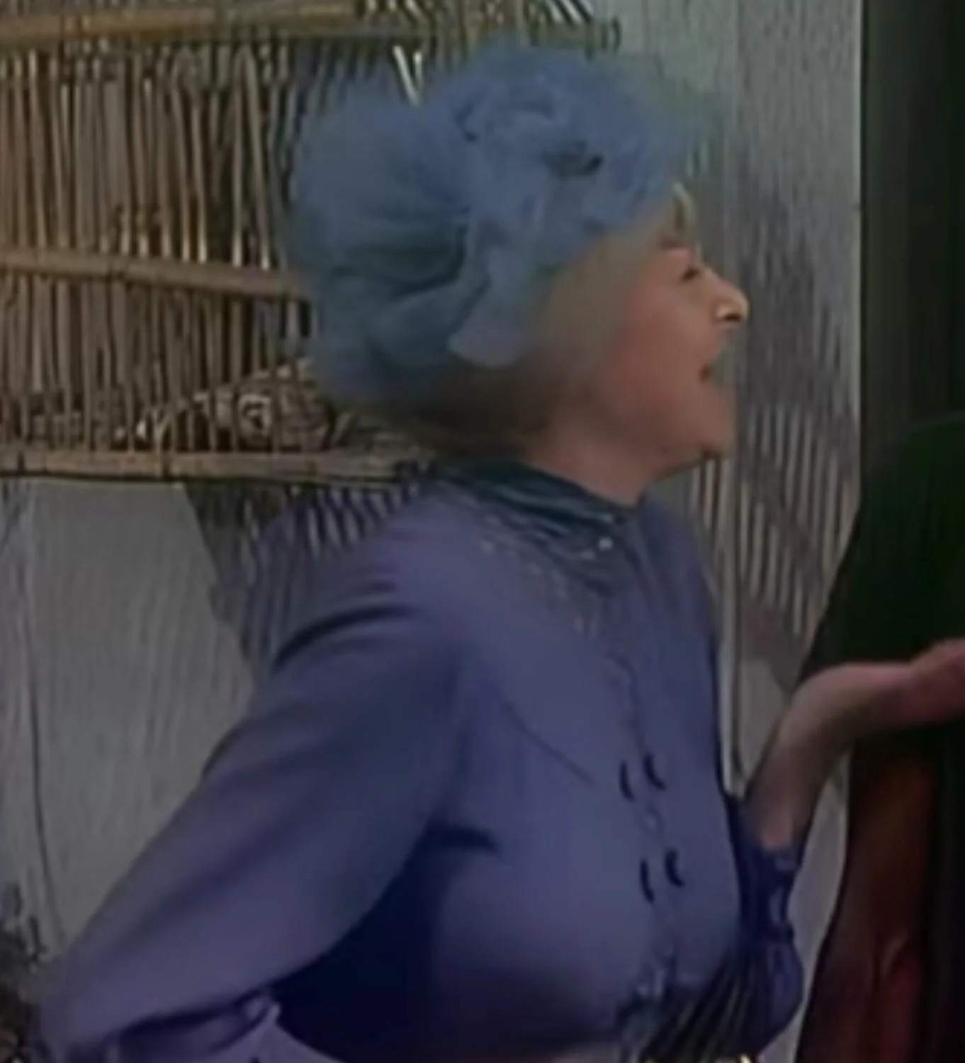 Dona Clotilde do chaves image 3
