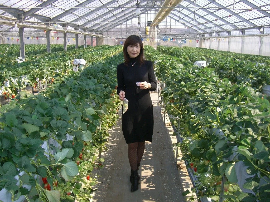Japanese wife Misaki pt-3 image 18