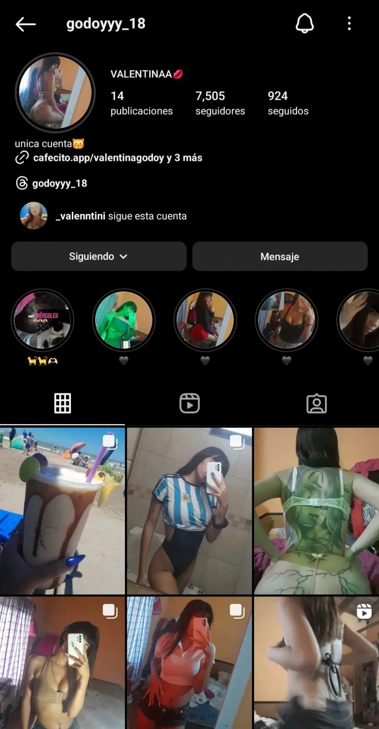Busco pack de esta turrita image 4