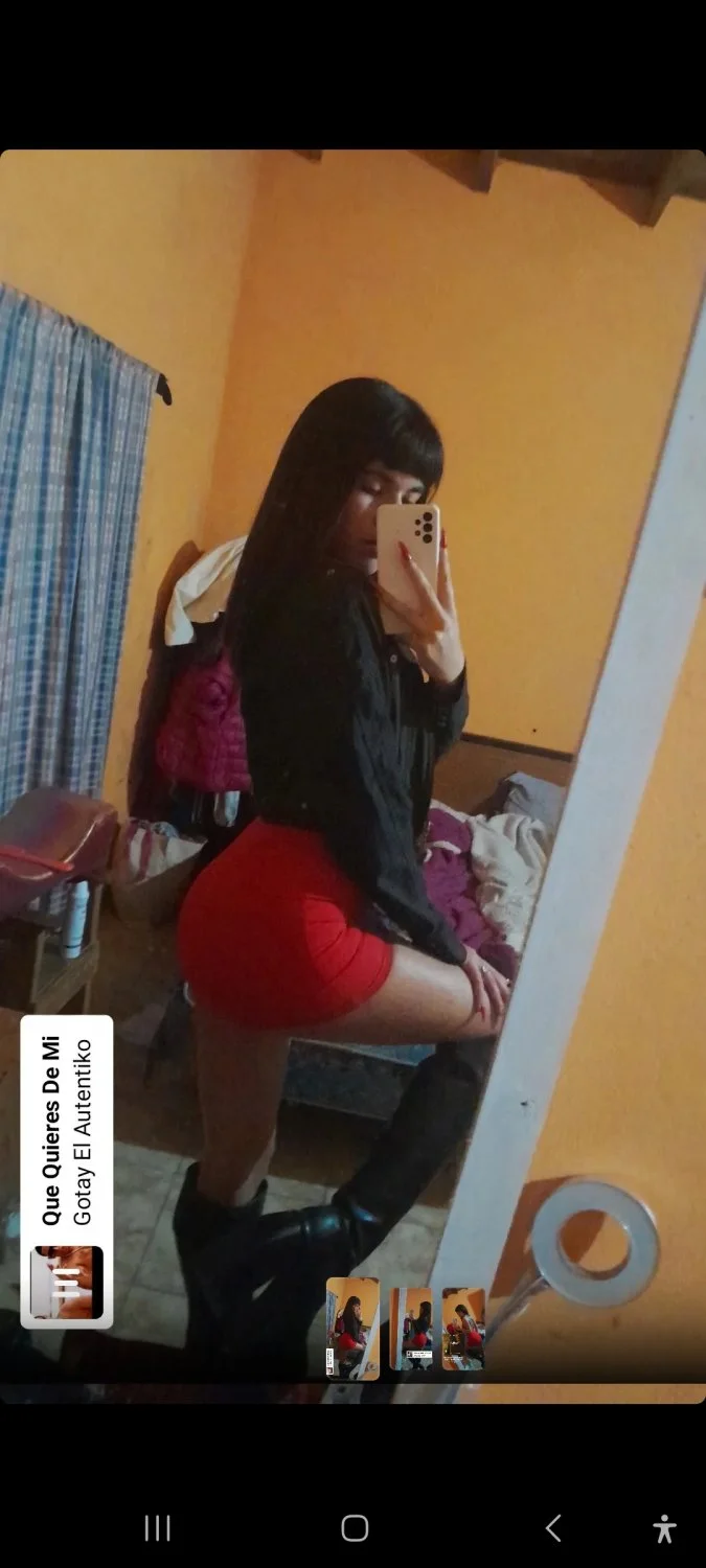 Busco pack de esta turrita image 7